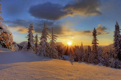 Mount Rainier National Park Winter Sunset Wallpapers   1280x1024 ...