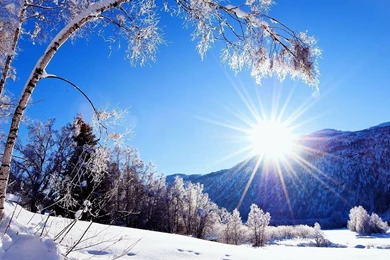Winter, Snow, Mountains And Trees, White Scenery, Dazzling ...