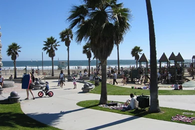 Venice Beach   Los Angeles Wallpapers (1106493)   Fanpop