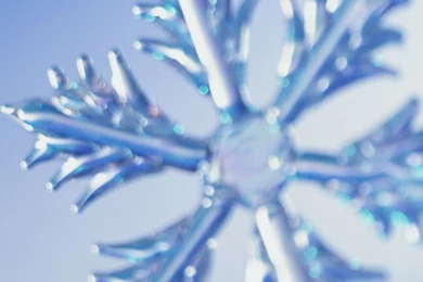 Winter Snowflakes Wallpapers   Crazy Frankenstein