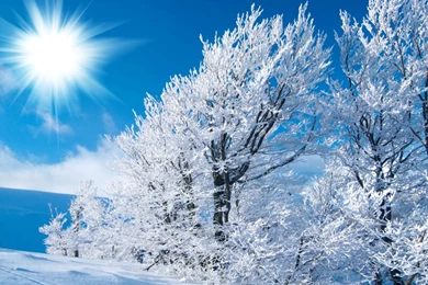 Winter Wallpapers 1280x1024 Notebook/LCD Wallpaper