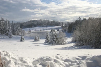 1280x1024 Winter Landscape Wallpapers