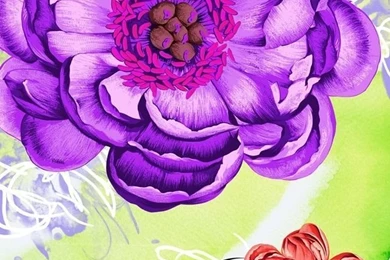 Daisies Flower Arts Iphone 3gs Wallpapers Free 640x960 Pop Hd ...