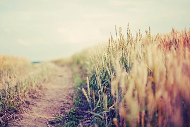 20 Excellent Lomo Photography Wallpapers   HDWallSource.com