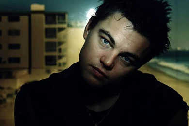 Leonardo Dicaprio Celebrity Actor Hd Wallpapers   (