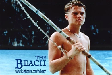 Desk Top Wallpaper, Leonardo DiCaprio In The Beach
