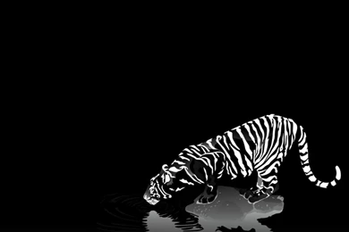 Cool 3D Wallpapers Black