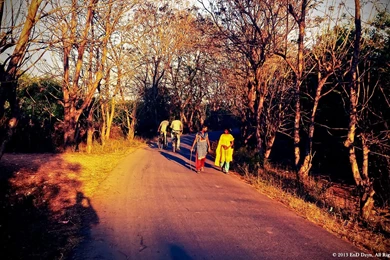 Lomography HD Wallpaper Backgrounds – Autumn Evenings