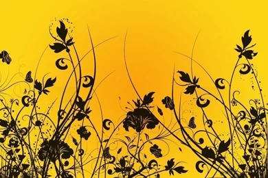 Black And Yellow Videos 23 Free Hd Wallpapers   Hdblackwallpaper.com