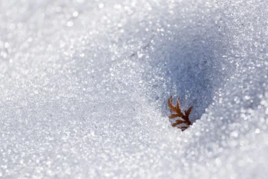 Snow Wallpapers Abstract   Wallpapers