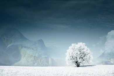 Snow Wallpapers HD Free Download