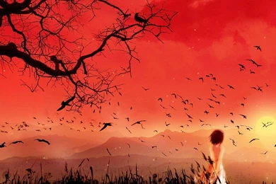 1280x1024 Anime Girl Sunset Wallpapers