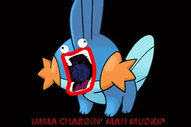 20 Mudkip (Pokémon) HD Wallpapers