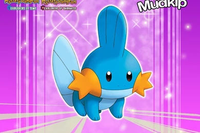 Pokemon Mystery Dungeon Wallpapers   157848