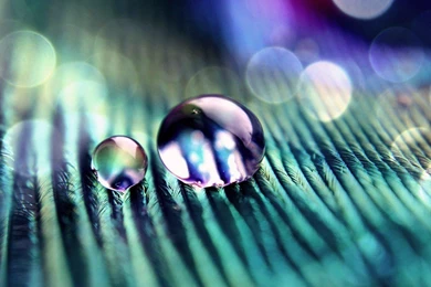 Abstract Water Drops Macro HD Backgrounds >> HD Wallpaper, Get It Now!