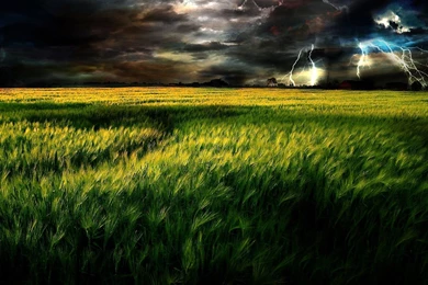 Lightning On The Field Wallpapers   Photography Wallpapers