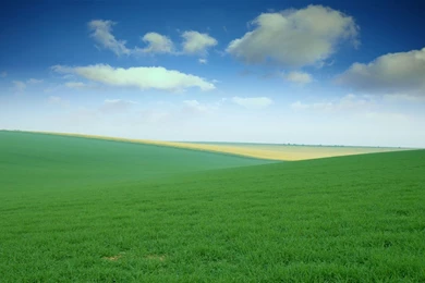 Gallery For   Green Fields Wallpapers Desktop