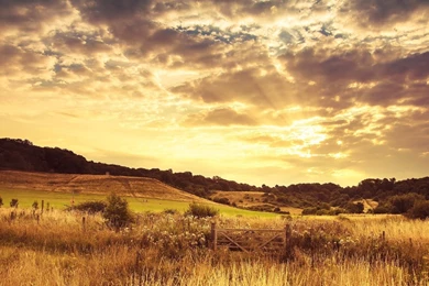 Wooden Gate On The Field Wallpapers   Nature Wallpapers