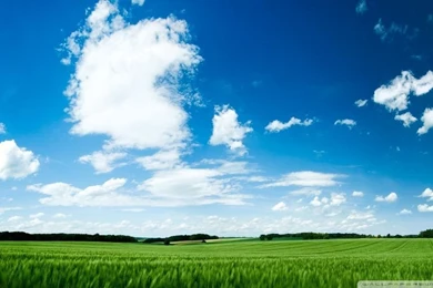 Green Field HD Desktop Wallpapers : High Definition : Fullscreen ...