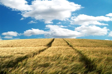 This Beautiful Vista Wallpapers Of An Open Field With Cloudy Skies ...