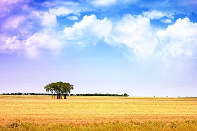 Field Wallpapers By Rauwgh On DeviantArt