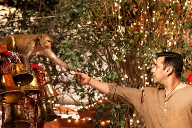 Salman Khan 2015 Movie Sultan HD Wallpapers   StylishHDWallpapers