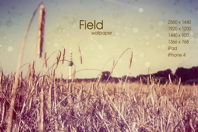 Field Wallpapers By Martz90 On DeviantArt
