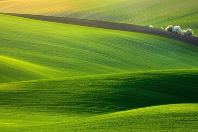 Texas Wallpapers 04 – HD Wallpaper, Wallpapers Pics   The Best ...