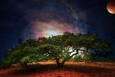 Page 2: Full HD 1080p Planet Wallpapers HD, Desktop Backgrounds ...