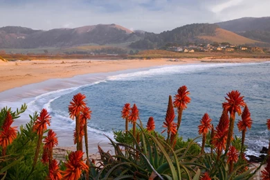 California Wallpapers 27 – HD Wallpaper, Wallpapers Pics   The Best ...