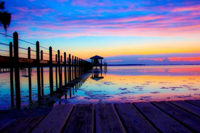 Download Summer Nights Wallpaper Images