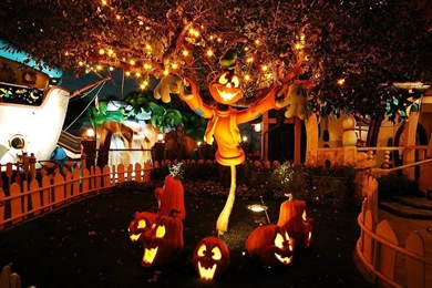 Free Halloween Wallpapers Screensavers HD Wallpapers Pretty