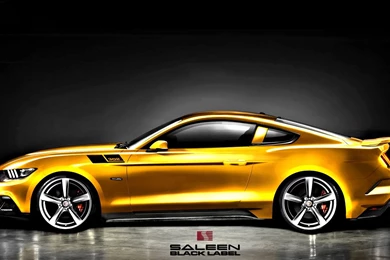2015 Saleen 302 Mustang Wallpaper.jpg