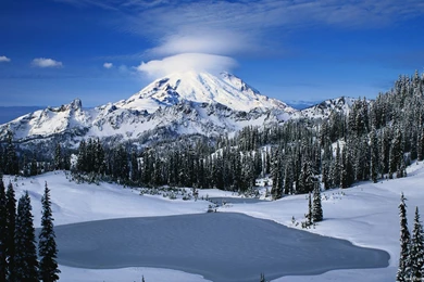 Winter Wallpapers 1920x1080