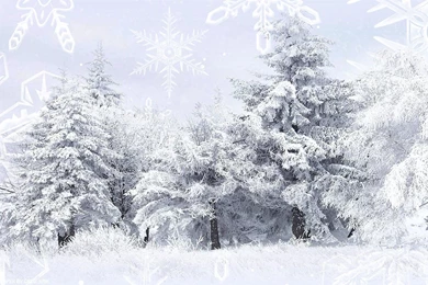 Winter Wallpapers 1920x1080   (