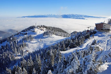 Winter HD Wallpapers