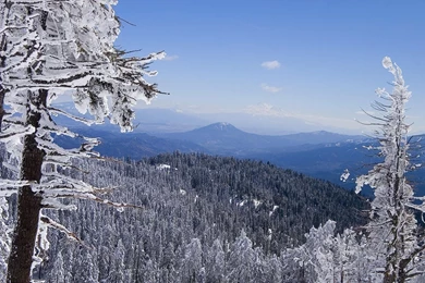 Winter HD Wallpapers