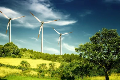 Wind Energy Image 7415   Other   Others