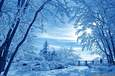 Winter Nature Wallpapers 3   Crazy Frankenstein