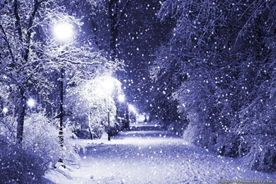 Winter Night Wallpapers   Crazy Frankenstein