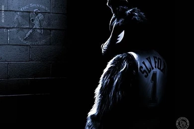 NBA New Jersey Nets Mascot Wallpapers 1 Wallcoo.net