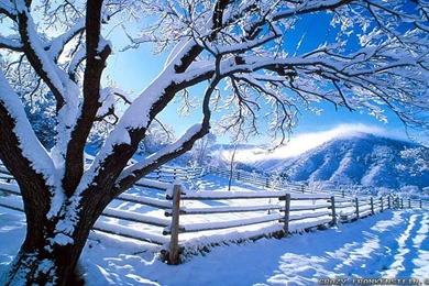 Winter Countryside Wallpapers 2   Crazy Frankenstein