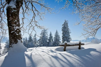 Winter Scenery Wallpapers 2015   Grasscloth Wallpapers