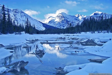 Winter Park Wallpapers   Crazy Frankenstein