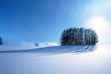 Winter's Snow Wallpapers