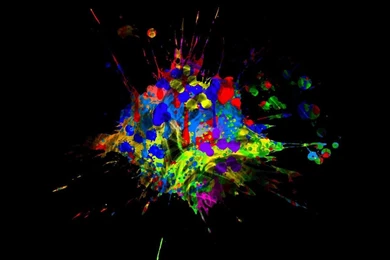 Abstract Wallpapers 1280x1024   ImgMob