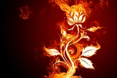 Fire Flower, 1280x1024 Pixels : Wallpapers Tagged Abstract ...