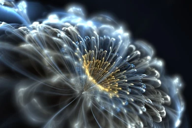 Abstract Neon Flower Wallpapers