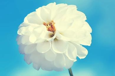 iPad Air Wallpapers, iPad Air Backgrounds, iPad Air Themes   Part 4