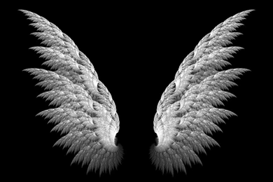 Wings 3d Black Backgrounds